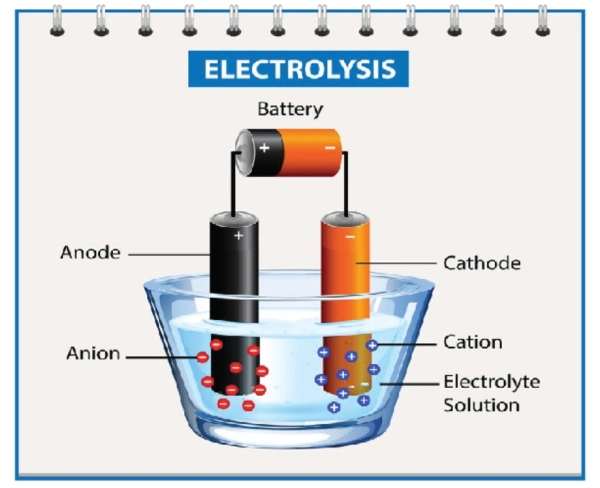cathode and anode of the battery