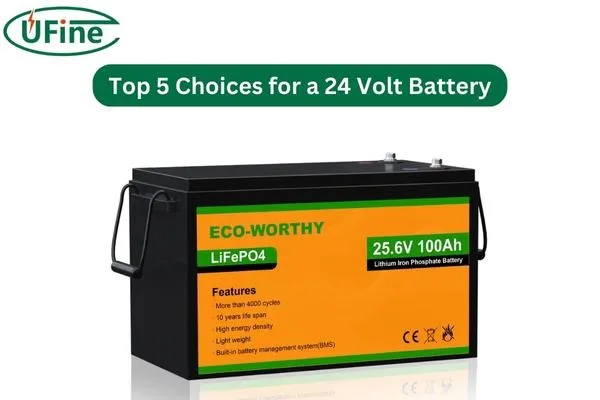  eco worthy 24 volt battery