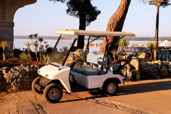 golf cart batteries life