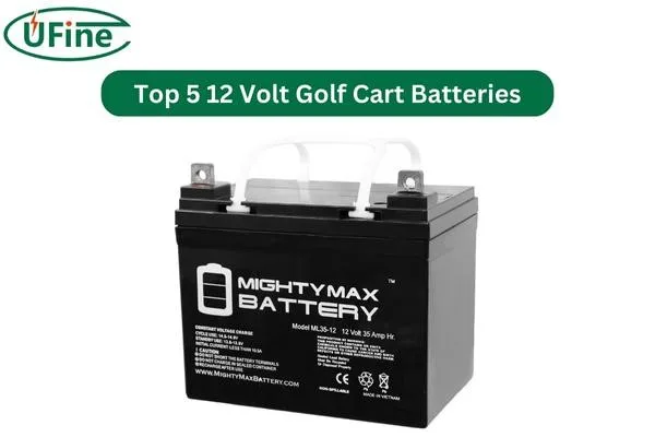 mighty max 12 volt golf cart battery