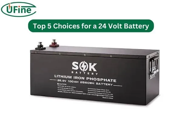 sok 24 volt battery