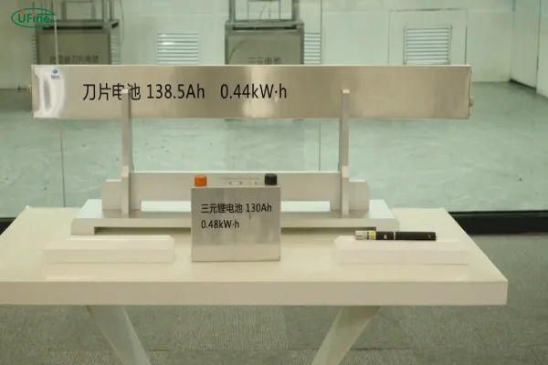 structural design of the blade battery