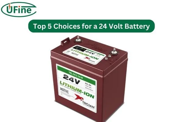 trojan 24 volt battery