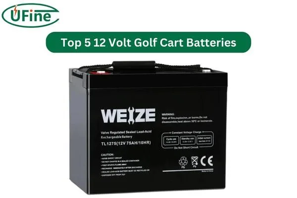 weize 12 volt golf cart battery