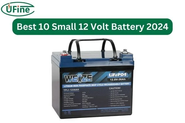 weize 36ah small 12 volt battery