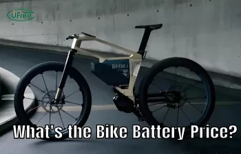 what is the bike battery price