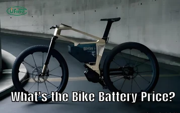 what is the bike battery price