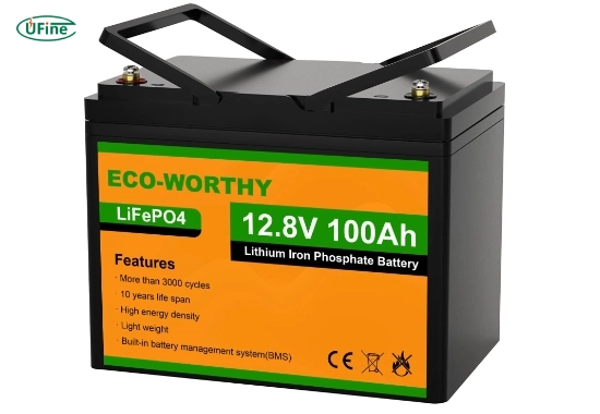 eco worthy 12v 100ah mini size group 24 lifepo4 lithium battery