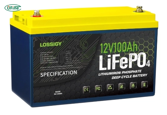 lossigy 12v 100ah lifepo4 battery