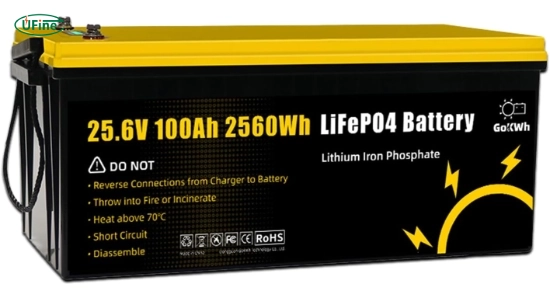 xvico lithium battery deep 4000 cycles 24v 100ah lifepo4